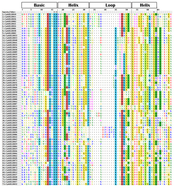 Multiple sequence alignment of the bHLH domains in papaya.