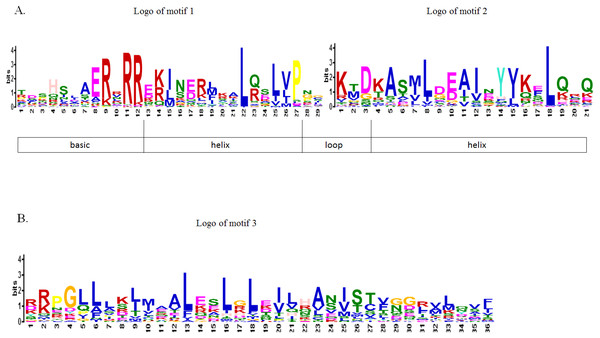 Motif composition and logos of papaya bHLH proteins.