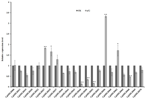 Quantitative RT-PCR analysis of 22 selected CpbHLH genes under cold stress condition (4 °C).