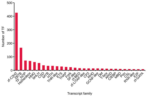 Transcript family distribution of TFs.