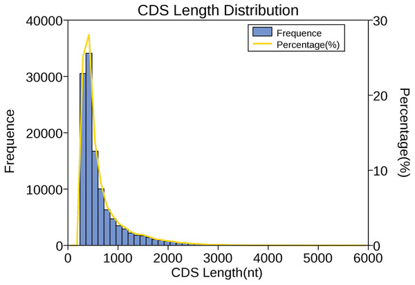 Length distribution of CDSs.