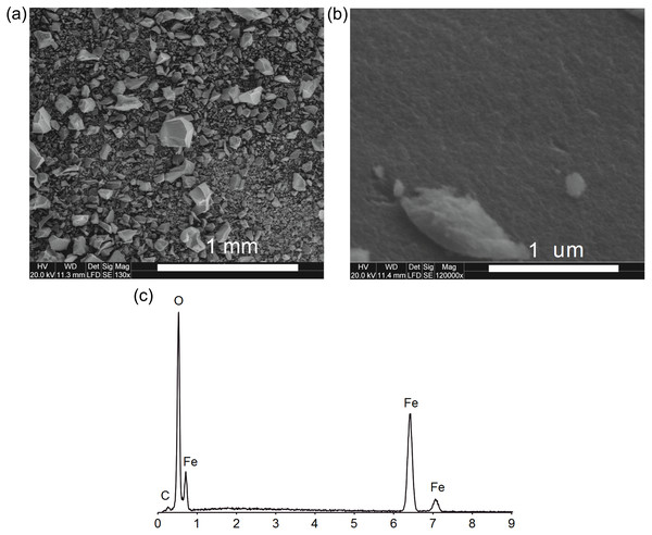 The SEM images: the overall picture of the sediment (A), the surface of the ferrihydrite aggregate (B) and EDS spectrum of ferrihydrite (C).