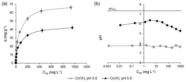 Adsorption of Cr(VI) ions on ferrihydrite (A) and the pH values in the equilibrium solutions (B).