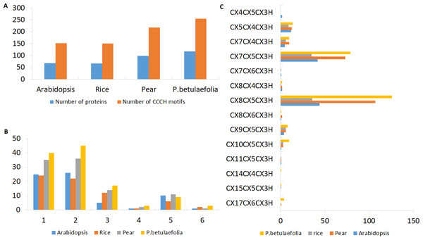 Characterizations of the C3H Znf proteins.