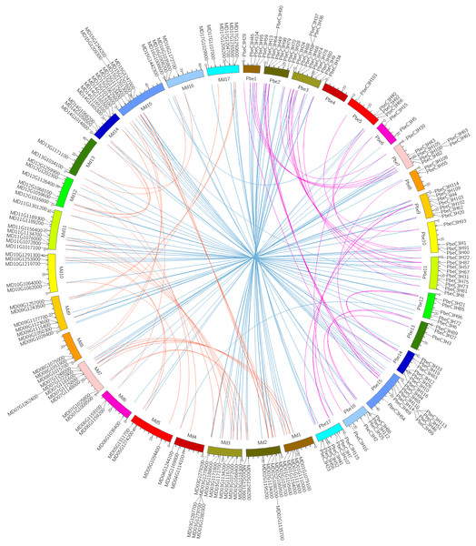 Intra- and interspecific comparisons of C3H genes in pear and apple.