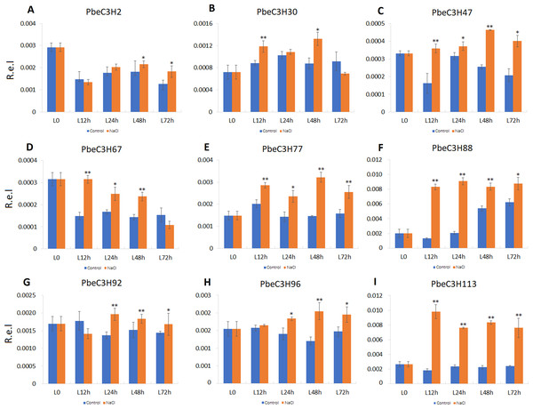 Expression patterns of C3H genes induced under salt stress treatment in leaves.