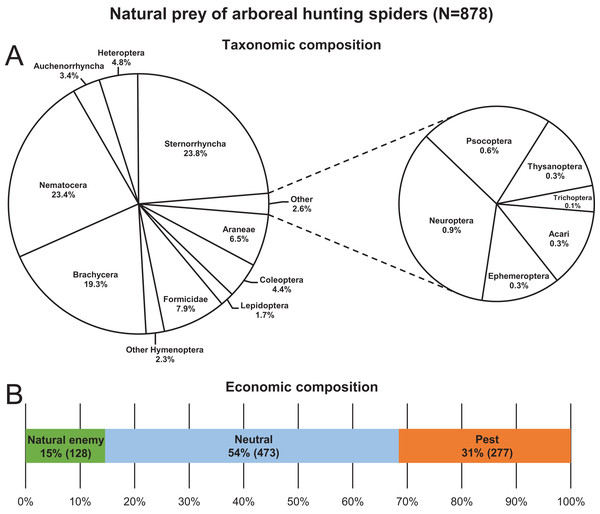 Natural prey (N = 878) of arboreal hunting spiders collected in apple orchards.
