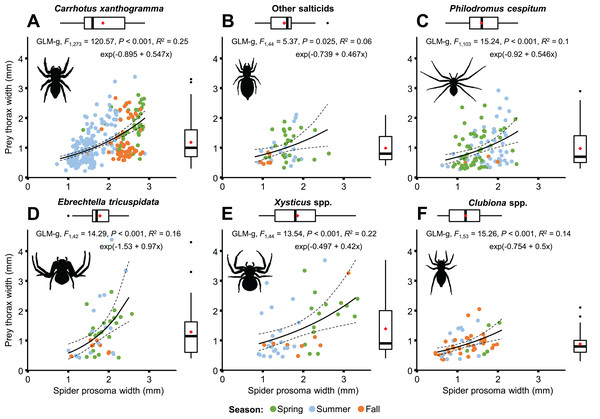 Relationship between spider and prey size (spider prosoma and prey thorax widths, jittered) for the most abundant arboreal hunting spider groups (A–F) in apple orchards.