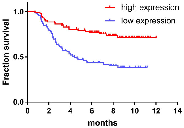Relationship between miR-145 expression and prognosis in children with ALL.