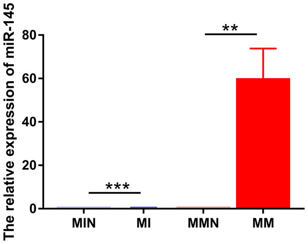 Relative expression levels of miR-145 in each group of CEM-C1 cells following transfection.