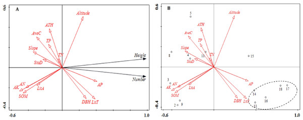 Ordination diagram of the results of the RDA analysis of stand structure, soil nutrients, litter and topographic variables.