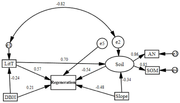 Corrected structural equation model with standardized path coefficients between influence factors and regeneration.