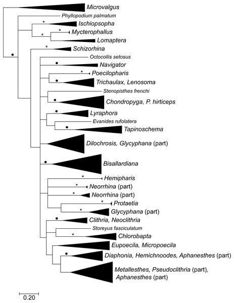 Bayesian phylogenetic tree for all data.