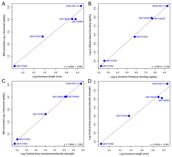 Plots of biomechanical property measurements extracted from diaphyseal cross sections of 3D models of the humerus at 50% (midshaft).