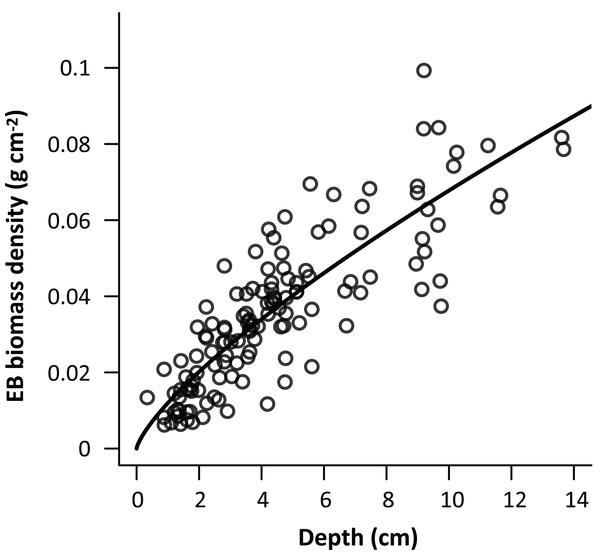 The best empirical general depth-biomass allometric model of epiphytic bryophytes.