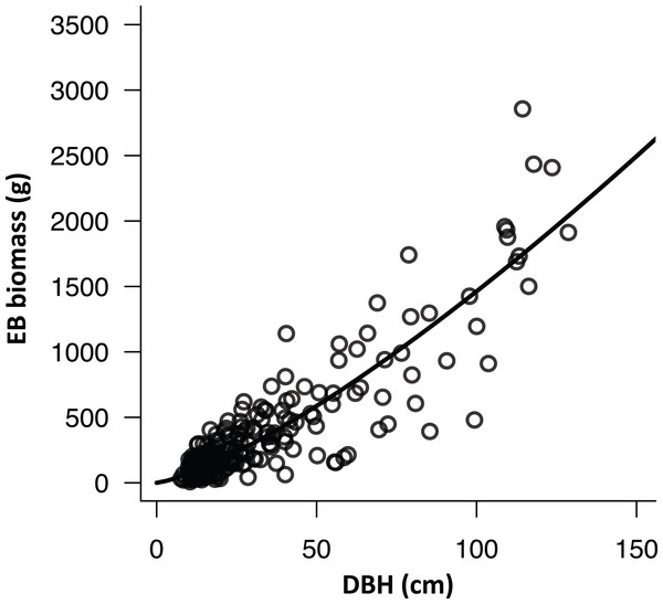 The relationship between diameter at breast height and epiphytic bryophyte biomass of sampled stem surface area.