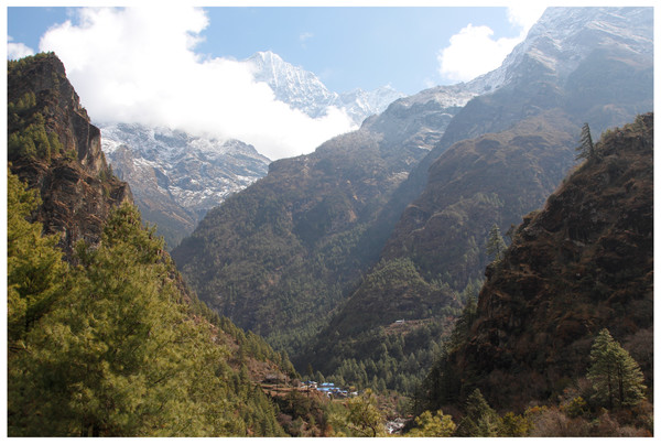 In the Himalayan valleys the vegetation zones depend on altitude and exposure.