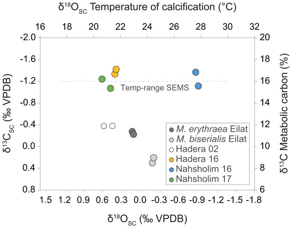 Cross plot of δ13C derived metabolic carbon (Eq. (3)) and δ18O derived temperature (Eq. (1)) of sclerite deposition of Melithaea erythraea.