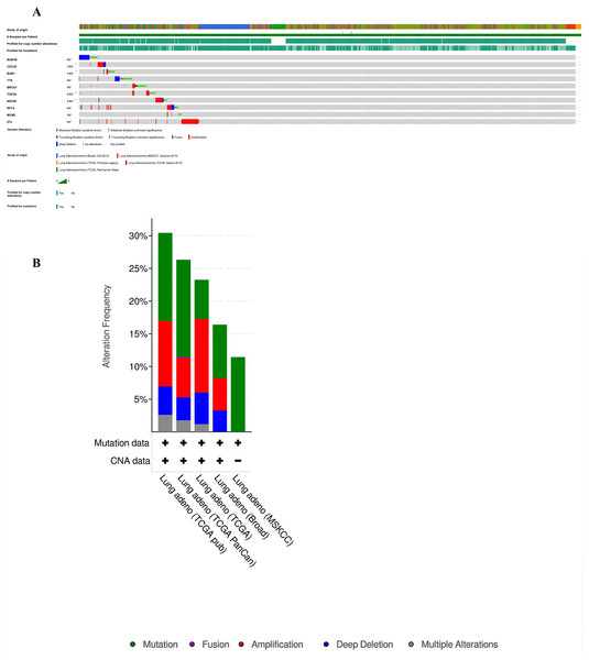 Analysis of mutation characteristics of hub genes.