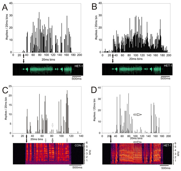Examples of response patterns to song in MLd units from normal reared zebra finches (ZF-ZF).