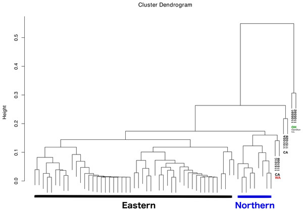 Dendrogram showing the relationship between all samples, and the different groupings.