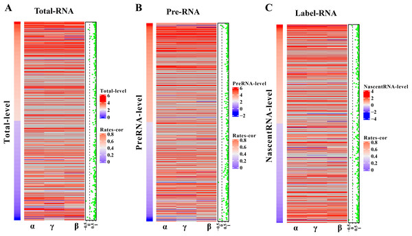 Influence of gene expression level on model optimization.