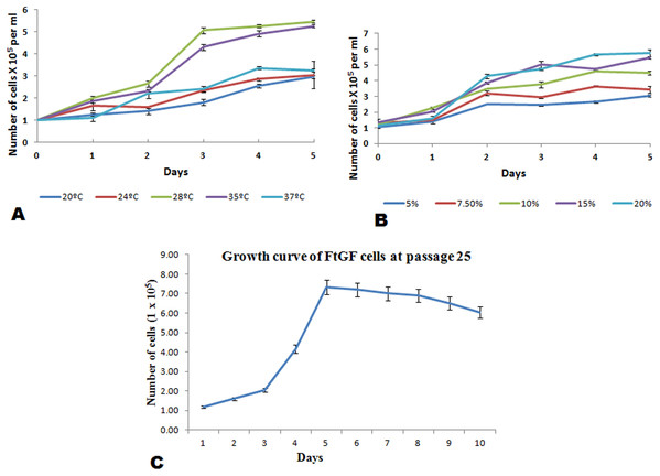 Mean ± SD (n = 2) growth rate of newly established FtGF cell line.