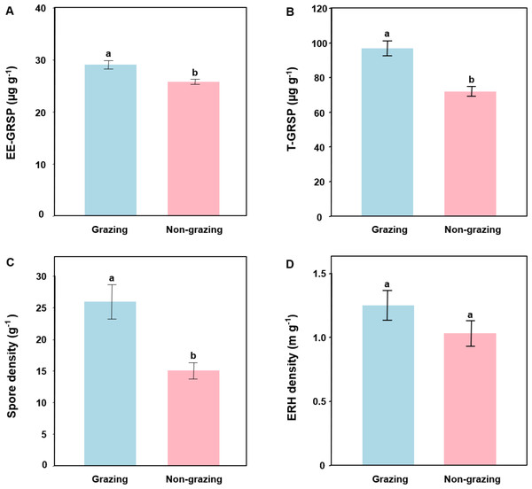 Easily extracted glomalin-related soil protein (EE-GRSP, A), total extracted GRSP (T-GRSP, B), spore density (C) and extra radical hyphal (ERH) density (D) of arbuscular mycorrhizal fungi in grazing and non-grazing treatments.