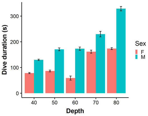 Dive durations of benthic dives (binned into 10 m intervals) performed by male (N = 9) and female (N = 7).