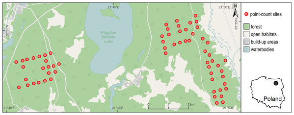 Distribution of 63 point-count sites in the Pisz Forest, NE Poland, sampled in 2011 for Great Spotted Woodpecker abundance, bat species richness, bat species occurrence and acoustic activity of bats.