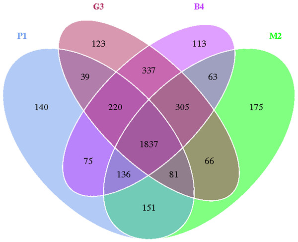 Venn diagram of OTU number in P1, M2, G3 and B4 soil samples.
