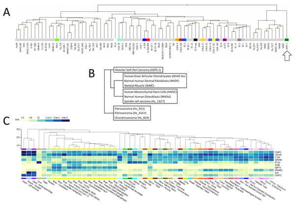 Analysis of ASPS-1 transcriptomic data.