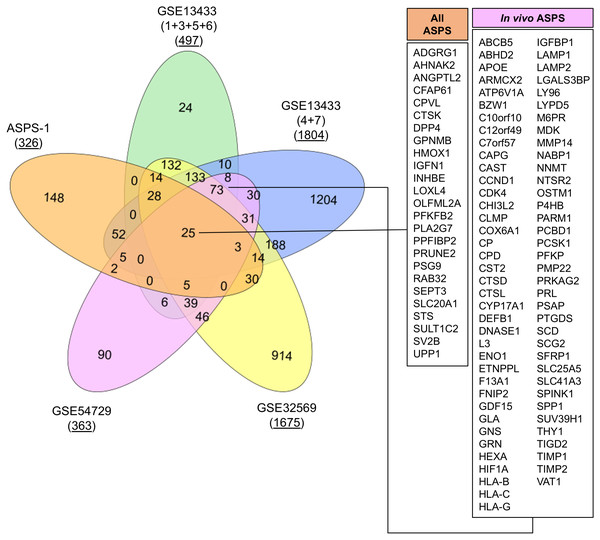 VENN diagram showing overlap between analyses.