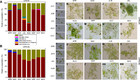 Assessment Of Biomass Potentials Of Microalgal Communities In Open Pond ...