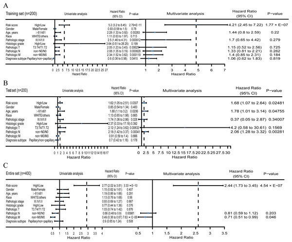 Univariate and multivariate Cox regression analysis of the PCG-lncRNA-microRNA signature and overall survival of BLCA patients in the training (A), test (B) and entire set (C).