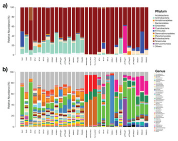 Highly diverse root endophyte bacterial community is driven by growth ...