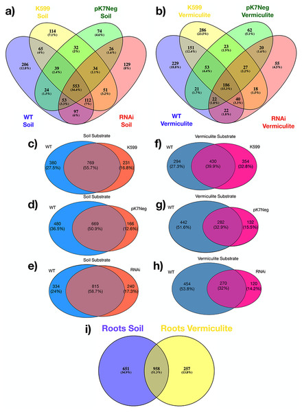 Venn diagrams for OTUs shared among genotypes (transgenics and WT), for both substrates (soil and vermiculite).