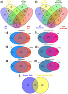 Highly diverse root endophyte bacterial community is driven by growth ...