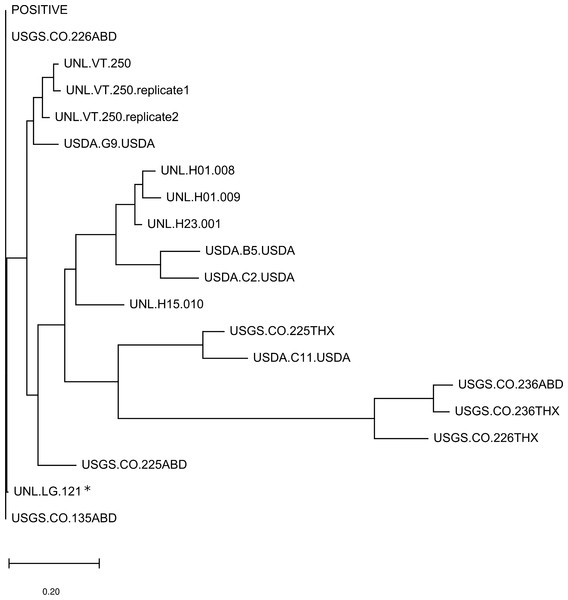 A sample-level dendrogram shows limited clustering by sample group.