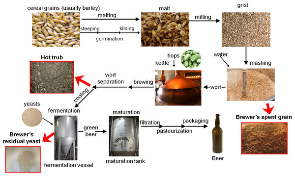 Beer production process (based on Mathias, de Mello & Servulo (2014)).