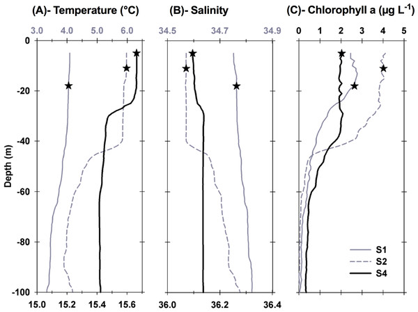 Vertical profiles of physical and biological properties at each sampled station.