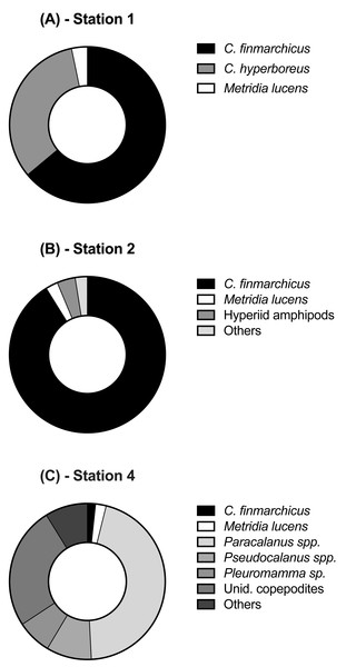 Relative abundance of copepod and mesozooplankton species found at the three sampled stations.
