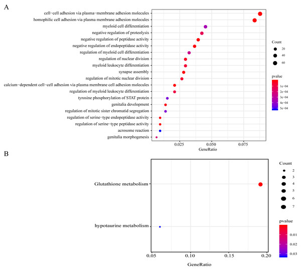 Functional enrichment analyses on the 977 genomic variant genes.