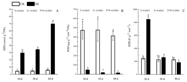 The effect of 103.45 mM NaCl on leaves malondialdehyde and antioxidant enzyme.