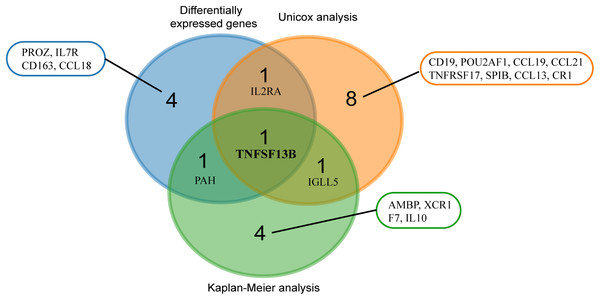 Venn analysis of results from three analyses.