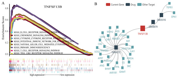 Gene set enrichment analysis and drug target network.