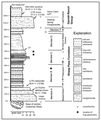 Preservation of latest Cretaceous (Maastrichtian)—Paleocene frogs ...