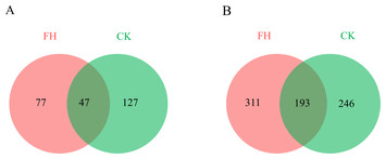 fig-3-small.jpg