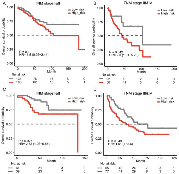 Survival analysis for colon cancer patients stratified by the TNM stage.