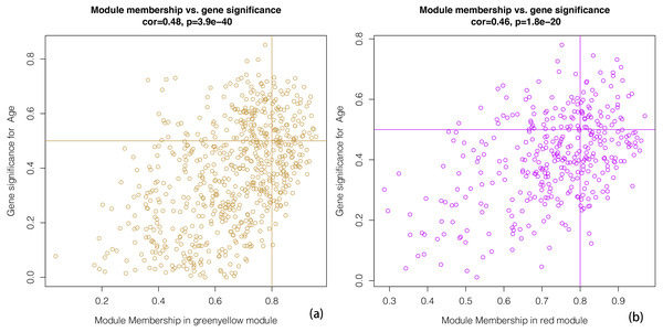 A scatter plot of Gene Significance (GS) vs. Module Membership (MM).